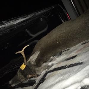 Meet your Posher, Blake